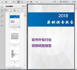2018軟件外包行業(yè)薪酬調(diào)查報告69頁